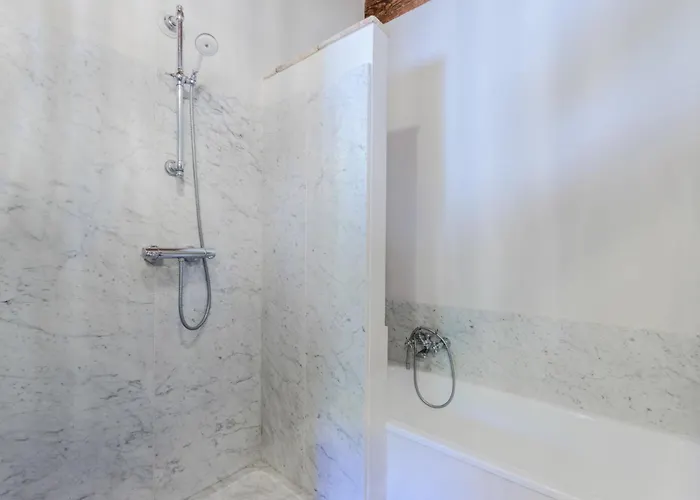 فيلة Domus Francigena